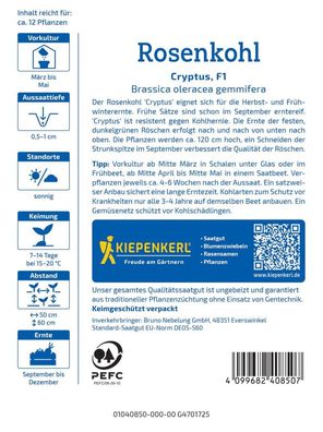 Rosenkohl Cryptus F1, frühreifend, schoßfest, Kohlhernie-Resistent - 120 cm