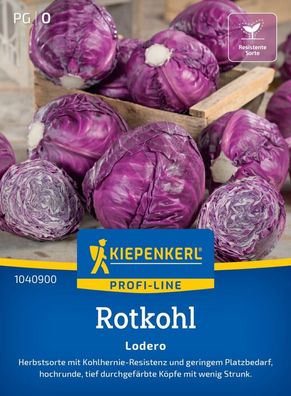 Rotkohl Lodero, F1, Herbstsorte mit Kohlhernie-Resistenz - geringer