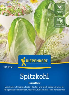 Spitzkohl Caraflex, F1, kleine u feste Köpfe - Feingemüse u Rohkost - für