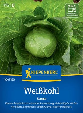 Weißkohl Sunta, F1, kleiner Salatkohl mit schneller Entwicklung - ideal für