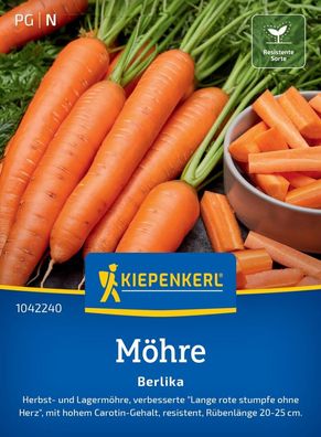 Möhre Berlika, F1, Herbst- u Lagermöhre - resistent - hoher Carotin-Gehalt