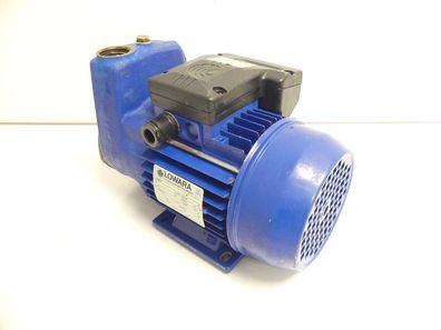 Lowara Pompa SP5 Motor SN: 55M712