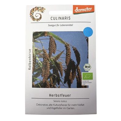 Culinaris-Saatgut - Kolbenhirse Herbstfeuer, dekorative, alte Kulturpflanze