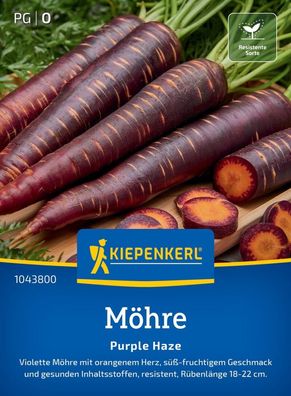 Möhre Purple Haze, F1, Violette Möhre (Ur-Möhre) - resistente Sorte - gesunde