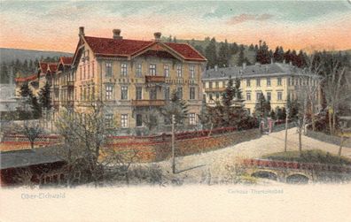 Kurhaus Theresienbad Ober-Eichwald Böhmisches Erzgebirge Postkarte AK 1922