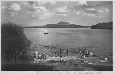 Thammühl am See Lichtbild von Karl Streer AK 1930