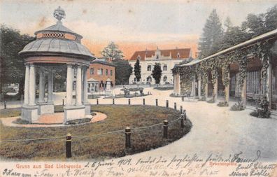 Gruss aus Bad Liebwerda (Lázne Libverda) Brunnenplatz Böhmen Postkarte AK 1904