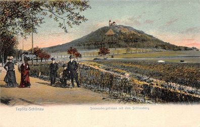 Schlossbergstrasse mit dem Schlossberg Teplitz-Schönau Böhmen Mähren Postkarte