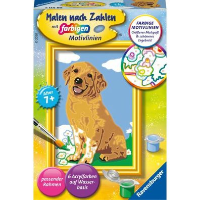 MNZ Kleiner Golden Retriever