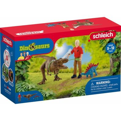 Schleich Tyrannosaurus Rex Angriff (41465)