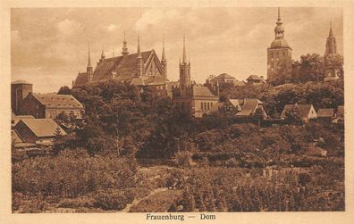 Frauenburg Dom Ostpreussen Postkarte AK