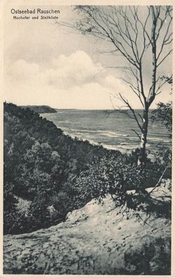 Hochufer und Steilküste Ostseebad Rauschen Ostpreußen Postkarte AK 1941