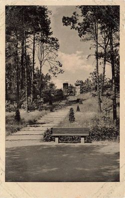 Aufgang zum Ehrenfriedhof Nordenburg Ostpreußen Postkarte AK