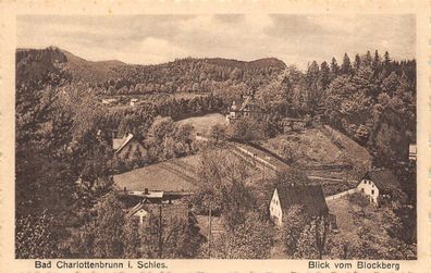 Bad Charlottenbrunn Schlesien Blick vom Blockberg Postkarte