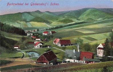 Blick auf Fuchswinkel bei Görbersdorf Schlesien Postkarte AK 1914