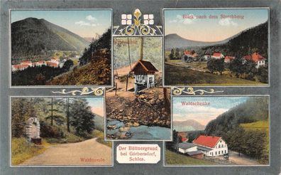 Der Büttnergrund b. Görbersdorf Schles. Waldmühle Waldschenke Storchberg AK 1916