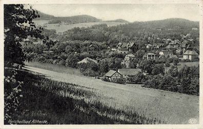 Sommerfrische Herzheilbad Altheide Schlesien Postkarte AK