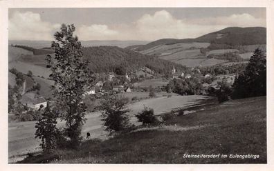 Steinseifersdorf (Rosciszów) im Eulengebirge Postkarte AK