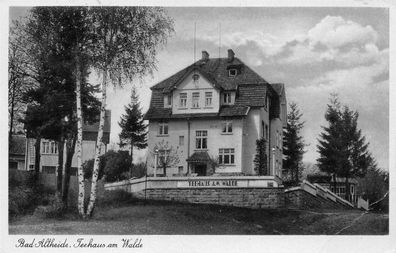 Bad Altheide Schlesien bei Glatz Teehaus am Walde Postkarte 1941