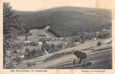 Bad Schwarbach im Isergebirge Postkarte 1927