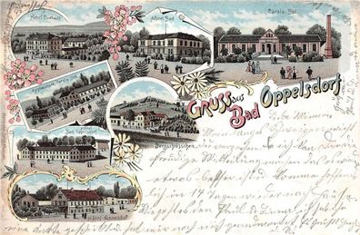 Gruss aus Bad Oppelsdorf Carola-Bad Bergschlösschen Postkarte AK 1902