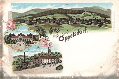 Gruss aus Bad Oppelsdorf mit Restauration Carolabad Schlesien Litho Postkarte AK