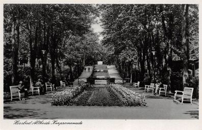 Herzbad Altheide (Polanica-Zdrój) Kurpromenade Postkarte AK