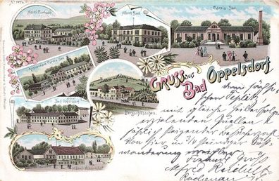 Hotel Annenhof und Restaurant Bad Oppelsdorf Schlesien Litho Postkarte AK 1898