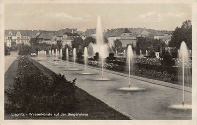 Liegnitz Wasserkünste auf der Bergerwiese Postkarte AK