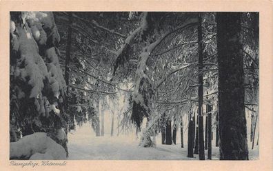 Riesengebirge Winterwald Postkarte AK