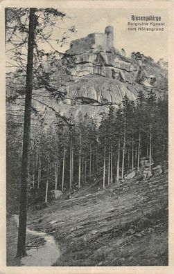 Riesengebirge Burgruine Kynast vom Höllengrund Postkarte AK