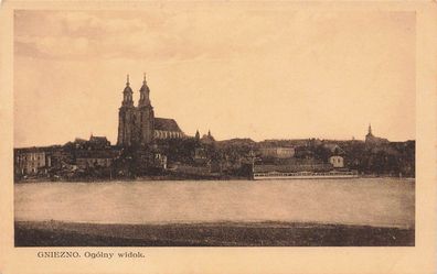 Ogólny widok Kathedrale Gniezno Gnesen Polen Postkarte AK