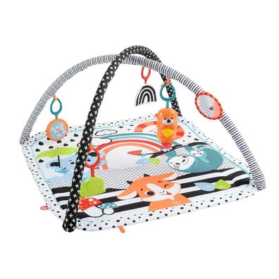 Fisher-Price Kontrast-Spieldecke, Spielbogen mit Musik & Licht (76 x 76 x 46 cm)