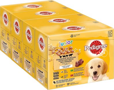 Pedigree Junior Hunde-Nassfutter Vital Protection für Welpen, 48 Beutel, 12x100g