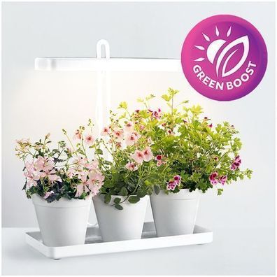 LED BLOOM 20W Pflanzenlampe LED, Vollspektrum Pflanzenlicht für Zimmerpflanzen