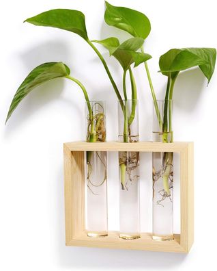 Wandmontierter Blumentopf aus Glas, moderne Blumenknospenvase