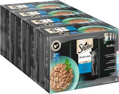 Sheba Selection Katzen Nassfutter, Fisch Variation in Sauce (48 x 85g Beutel)