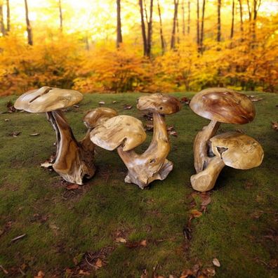 Pilz Teak Holz Holzpilz Garten Dekoration natur Herbst Teakholz Deko geschnitzt