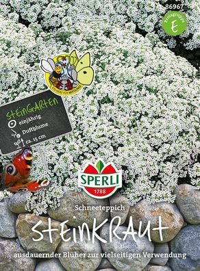 Sperli Steinkraut Duftsteinrich Schneeteppich - Blumensamen