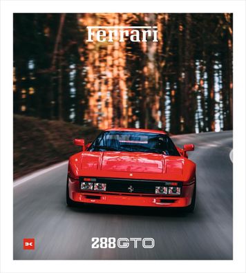 Ferrari 288 GTO, Jürgen Lewandowski