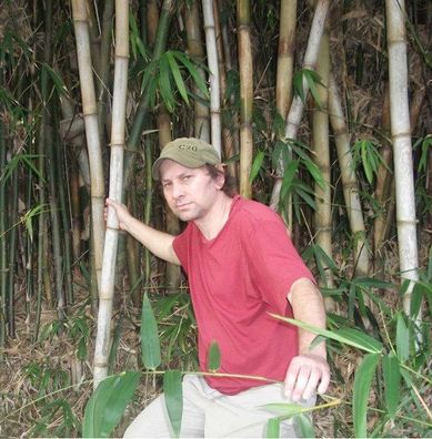 Wasserbambus bis 6 Meter hoch / schöne Bepflanzung am Bachlauf Wasserpflanze I Samen