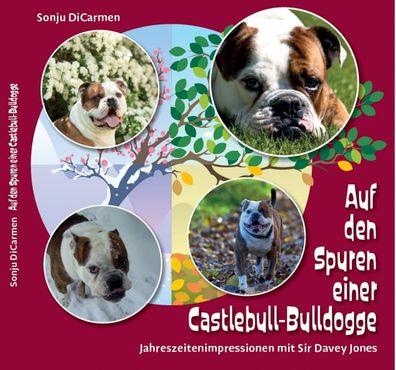 Auf den Spuren einer Castlebull-Bulldogge Sir Davey Jones