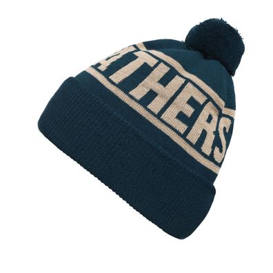 Horsefeathers Royce Youth Beanie (Hydro)