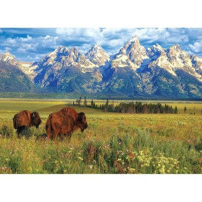 Eurographics Puzzle Grand Teton National Park 1000 Teile