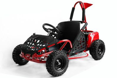 NITRO MOTORS 1000W Eco midi Kinder Buggy Gokid PRM 6 Zoll Offroad