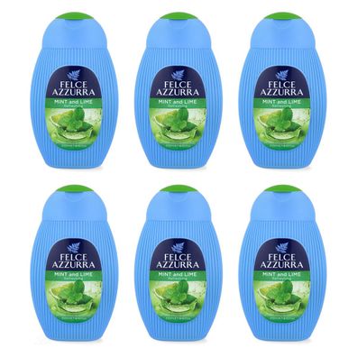 Paglieri Felce Azzurra Duschgel Minze & Limette 6 x 250 ml