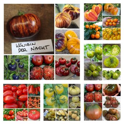 Tomatenpalette Sortiment AUS 6 Tomaten- Samenmischungen 135+ Samen V 202