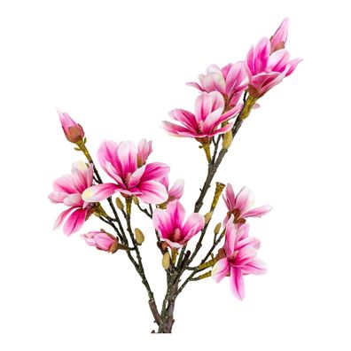 Künstliche Pflanze Magnolia Baum ca. H75cm Tulpen-Magnolie