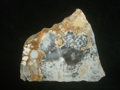 Rhyolith Augenjaspis Anschliff -Mineralien Heilsteine Anschliffe-