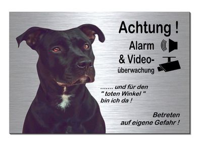 Pitbull-Hund-Alarm-Video-30 x 20 cm Alu-Edelstahl-Optik-Schild-Warnschild-TOP